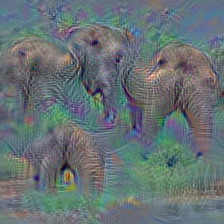 n02504458 African elephant, Loxodonta africana